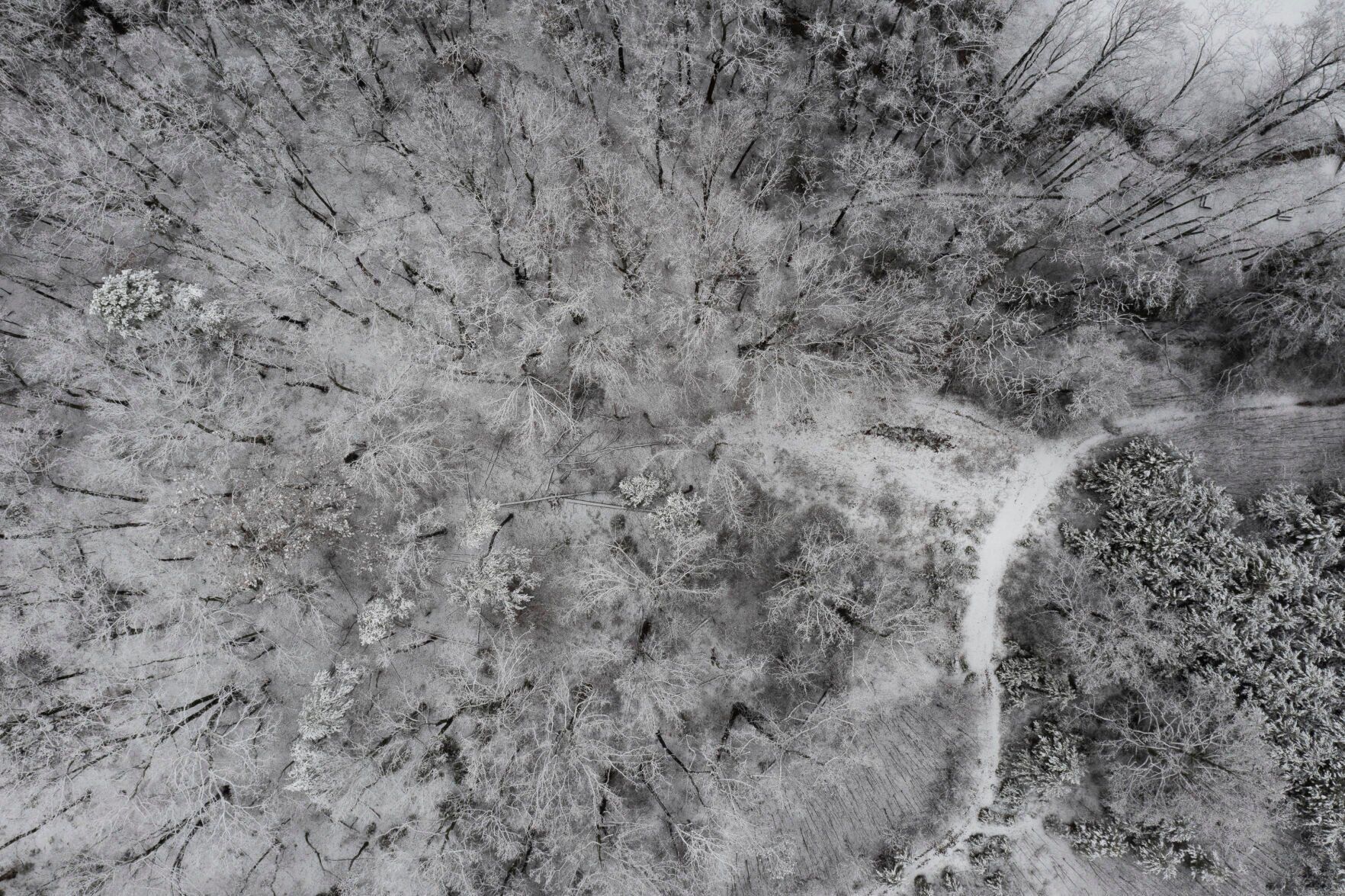 01032022 DH SalemSnow p05